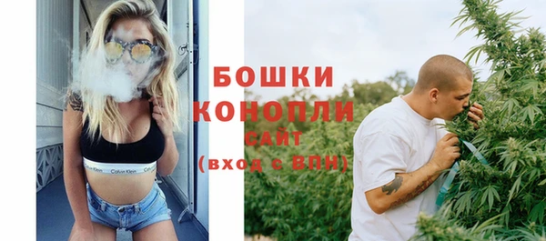 амф Вуктыл