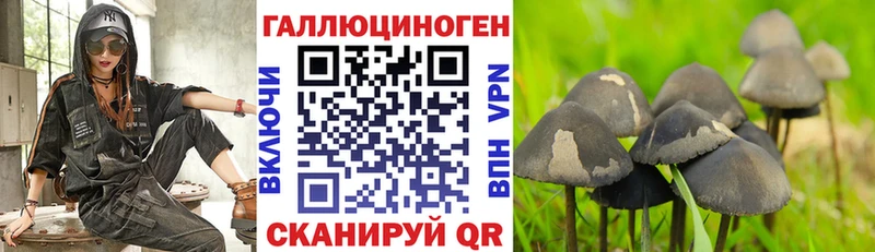 Галлюциногенные грибы прущие грибы  Кяхта 