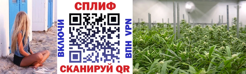 Каннабис Amnesia  продажа наркотиков  Кяхта 